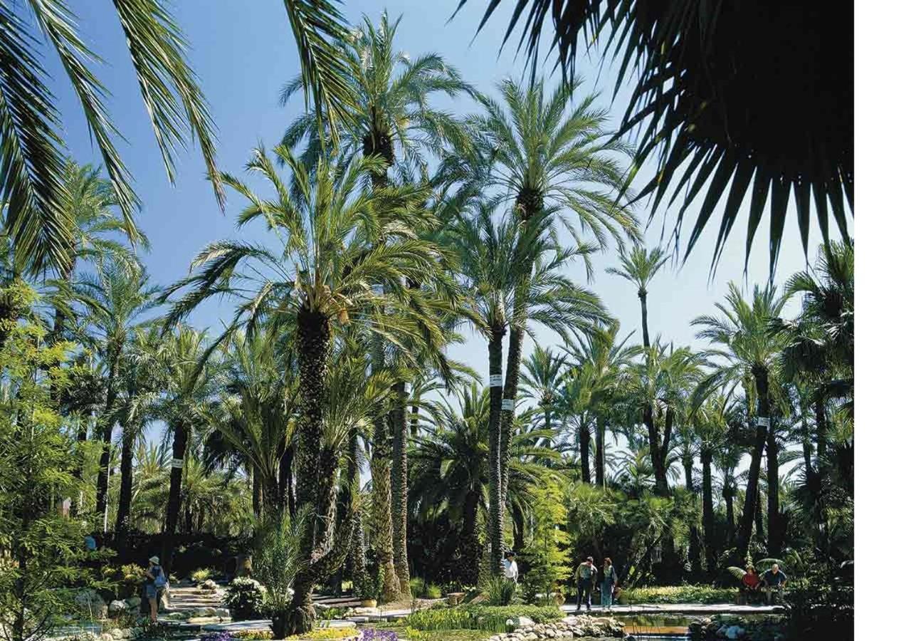 Luxury New Loft City Centre & Castle, Alicante Exteriör bild